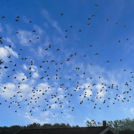 Casa vacanze Praestemarken Fano Denm *