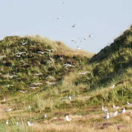 Semesterbostad Praestemarken Fano Denm