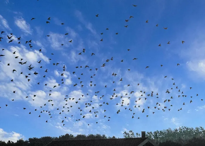 Casa de Férias Praestemarken Denm *